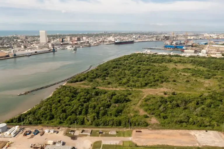 Power LNG takes step forward with Pelican Island facility