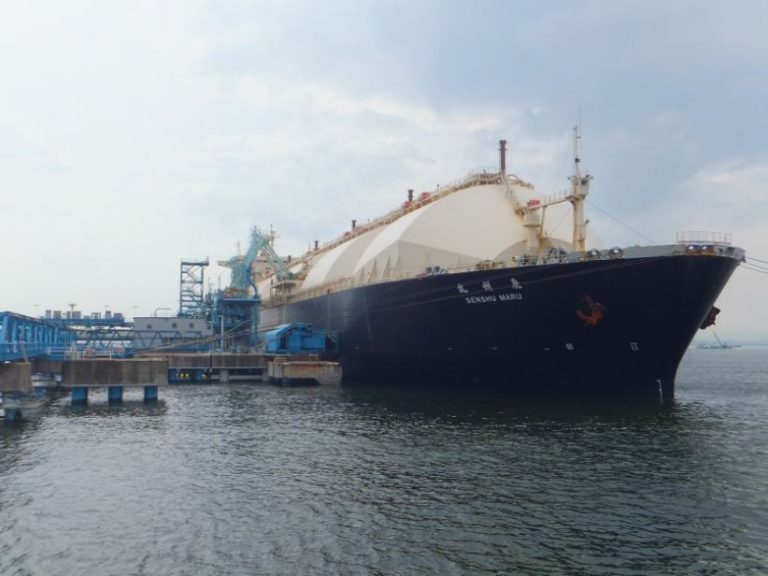 Japan’s monthly LNG imports decline again