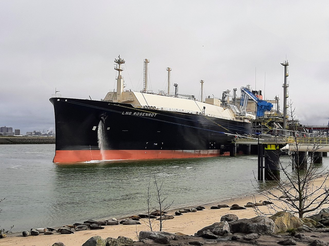 Uniper resumes Wilhelmshaven LNG plans as Germany looks to cut Russian gas reliance