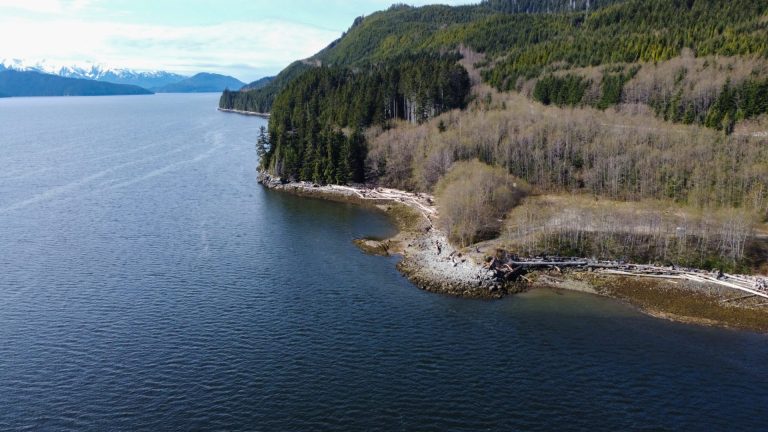 Cedar LNG gets environmental approval, inks deal with ARC Resources