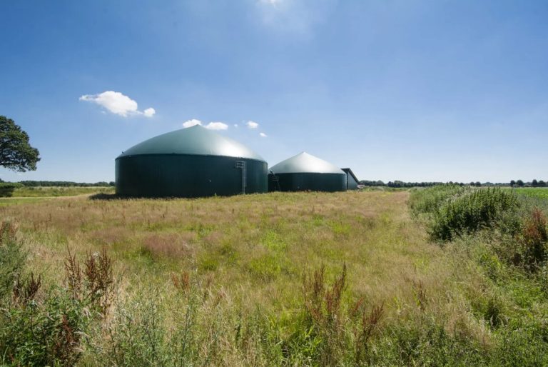 TotalEnergies in new biogas move