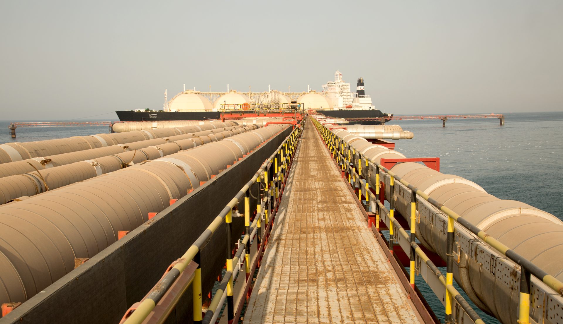 UAE’s Adnoc, Indian Oil ink Ruwais LNG supply deal