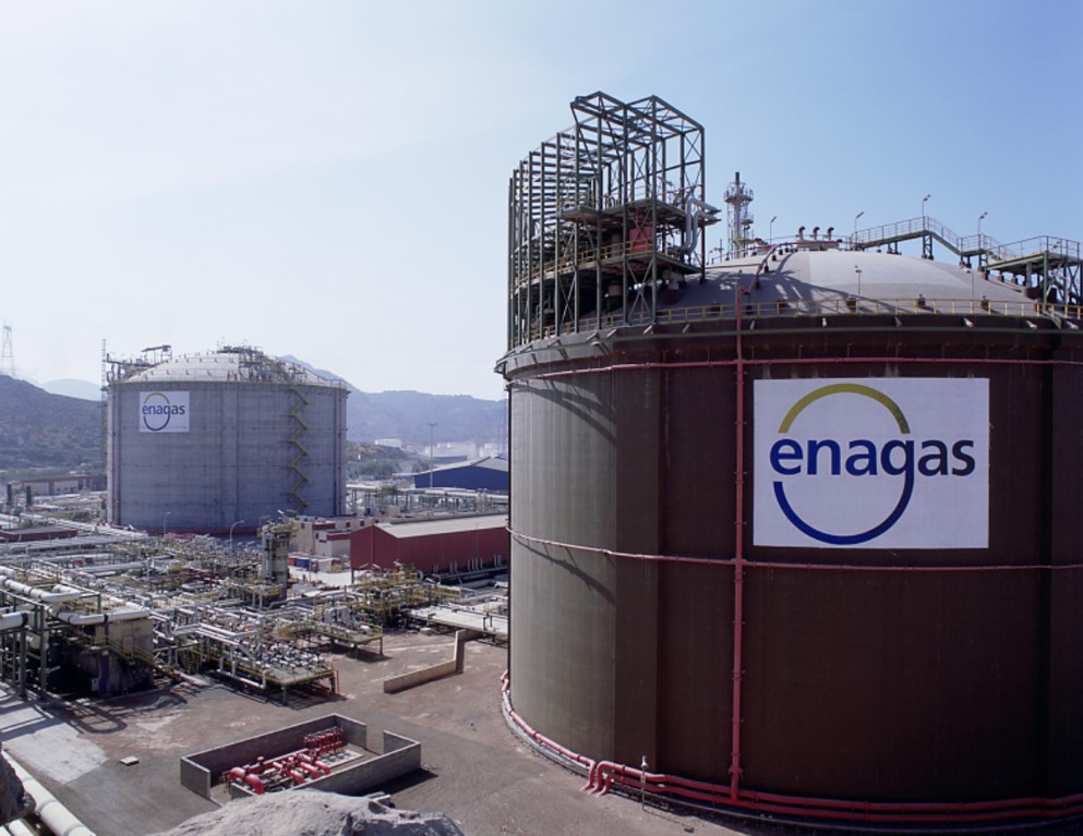 Spain's Enagas reports net loss