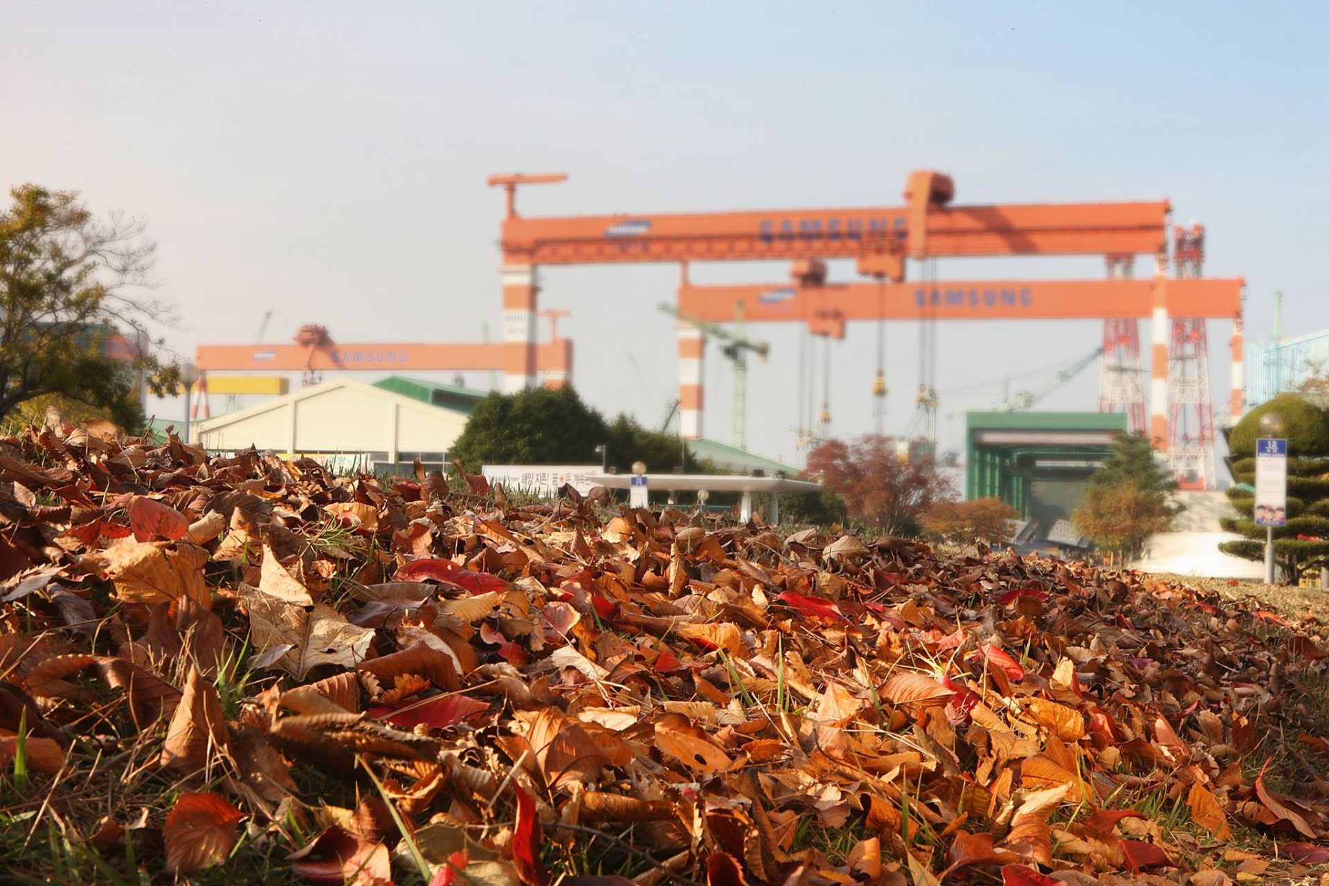 Samsung Heavy cancels LNG carrier contract with Russia’s Zvezda