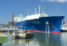 PetroVietnam Gas gets Qatari LNG cargo