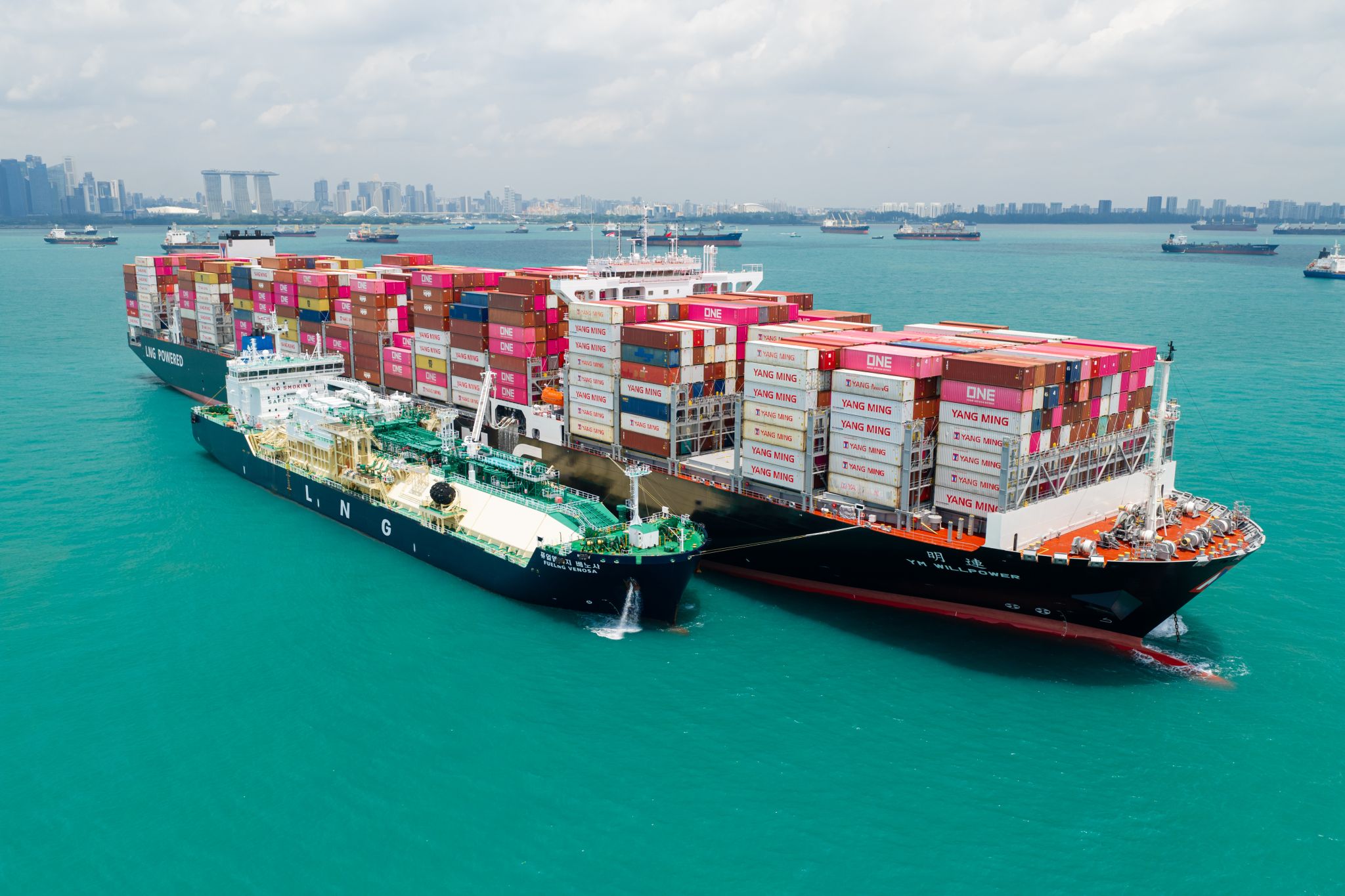 Yang Ming to order more LNG-powered vessels