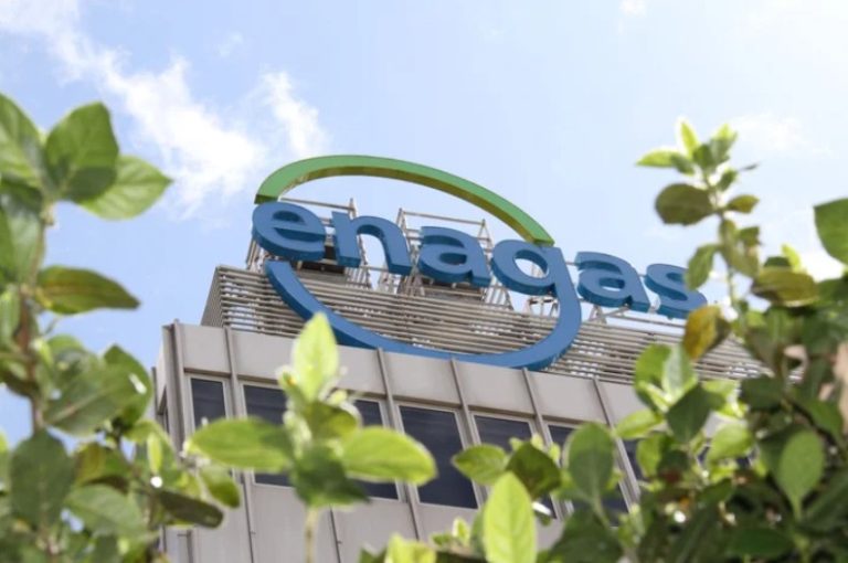 Enagas to buy stake in French gas grid operator Terega