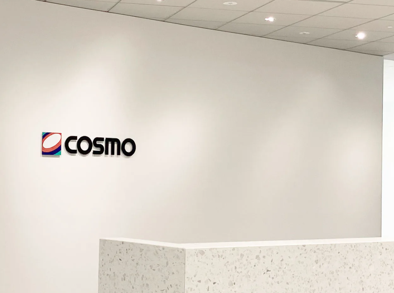 Japan's Cosmo Energy eyes LNG power plant