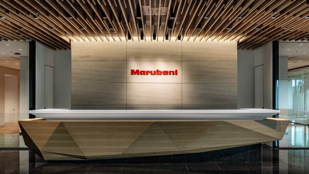 Japan's Marubeni transfers stake in Taiwanese LNG power plant