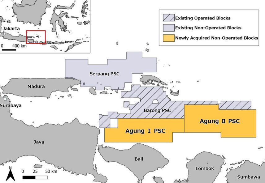 Inpex takes stakes in BP’s blocks off Indonesia