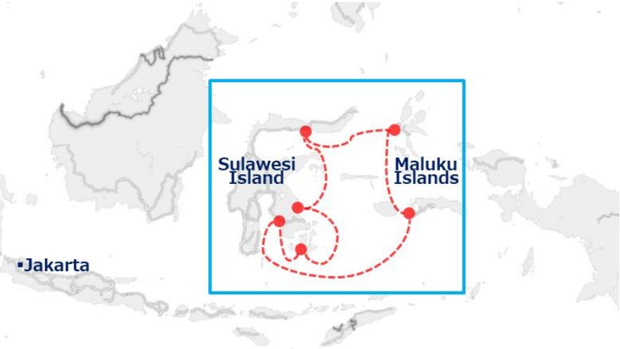 Japan's Tokyo Gas in Indonesian LNG move